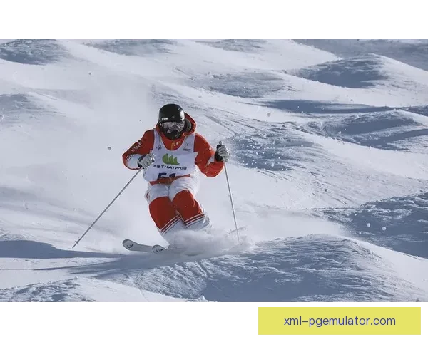 滑雪杯赛：挑战极限，冲破速度记录